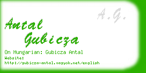 antal gubicza business card